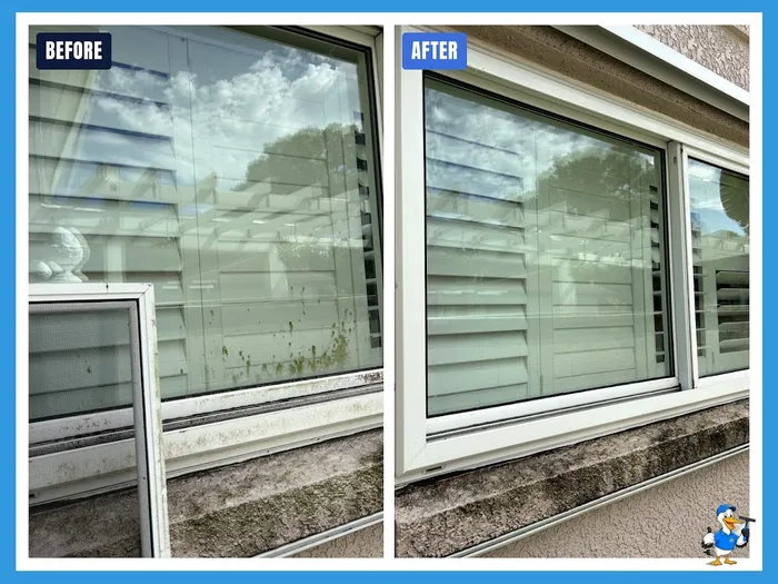 Before and after window cleaning with the screen removed, algae spotting cleared