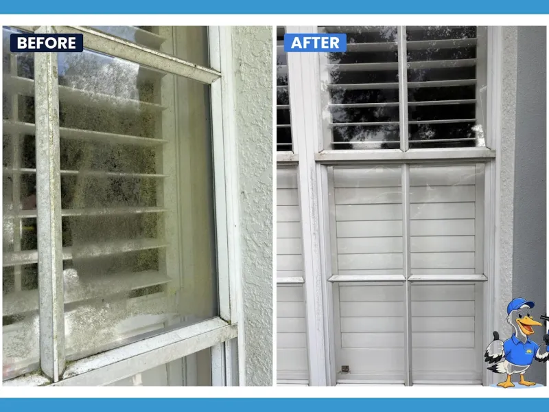 Window cleaning by Pelican Exteriors in Carrollwood, Tampa FL