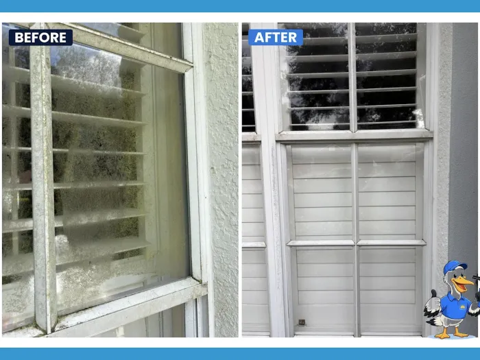 Before and after removing heavy algae and mineral staining from a shutter window in Tampa