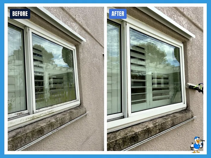 Before and after removing algae and mineral staining from a Tampa window and sill
