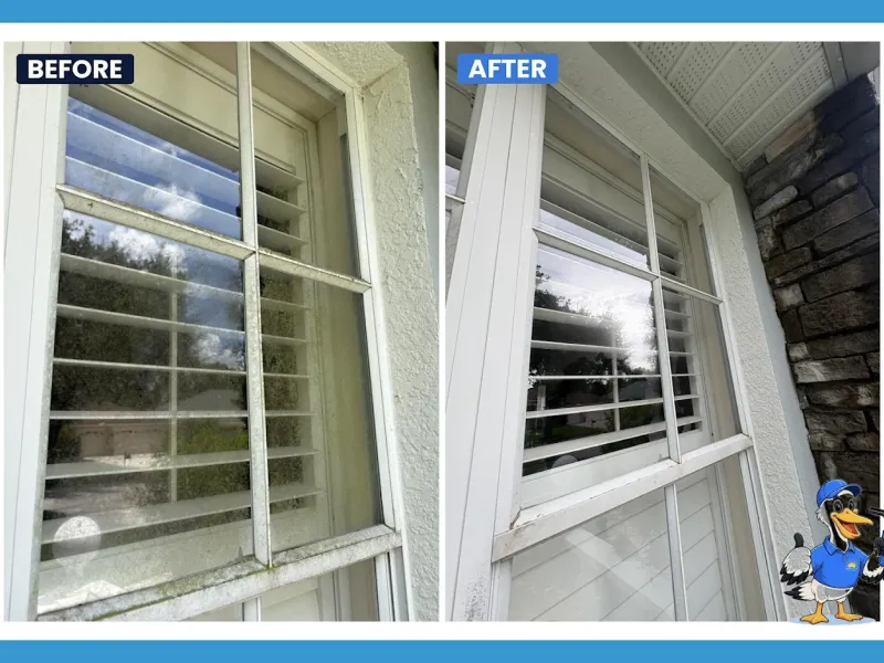 Window cleaning by Pelican Exteriors in Citrus Park, Tampa FL
