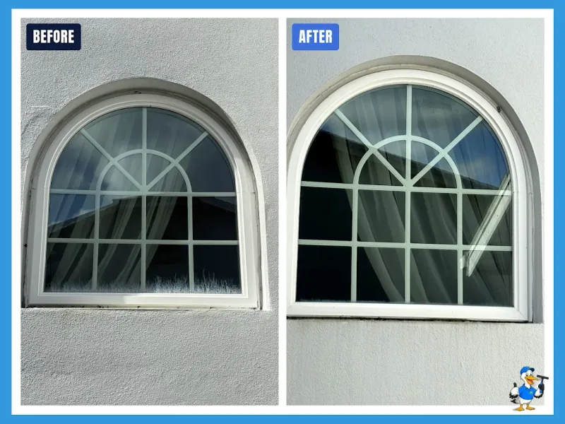Window cleaning by Pelican Exteriors in Palma Ceia, Tampa FL