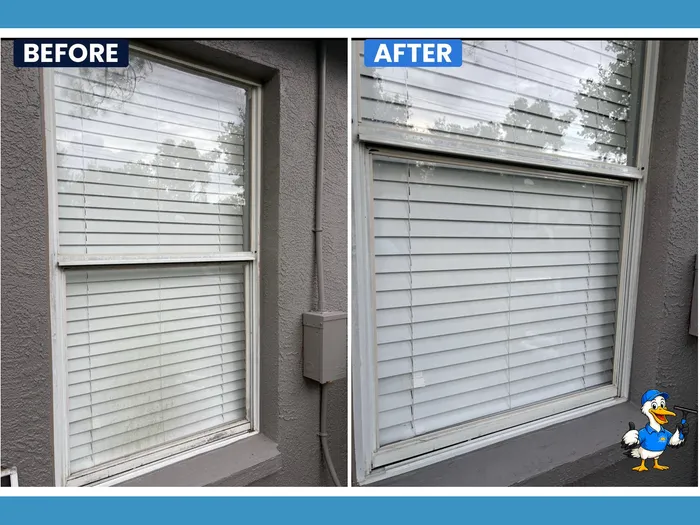 Before and after window cleaning, hazy double-hung window restored to clear