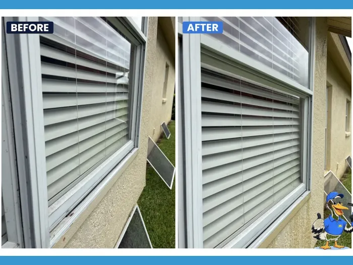Before and after window cleaning with blinds visible and screens off