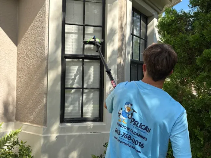 Pelican Exteriors cleaning a bay window with a water-fed pole in Tampa
