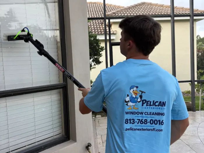 Cleaning lanai windows with a water-fed pole at a Tampa home