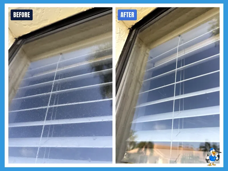 Window cleaning by Pelican Exteriors in Odessa, Tampa FL