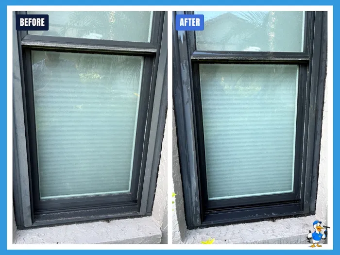 Before and after dark-framed window cleaning in Tampa