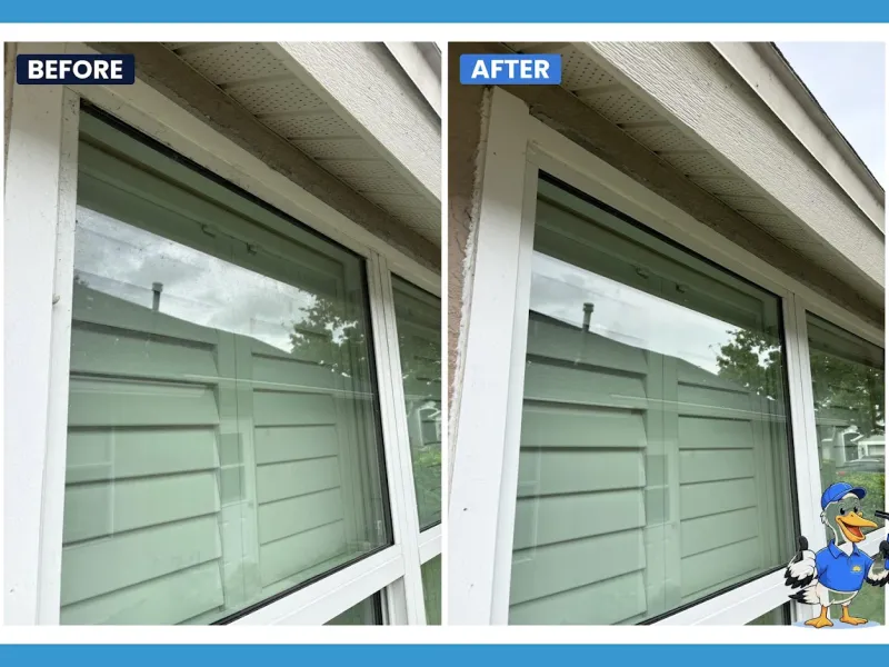 Window cleaning by Pelican Exteriors in Keystone, Tampa FL