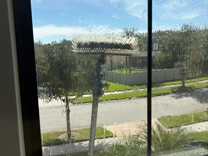 Water-fed brush seen from inside as the exterior glass is cleaned