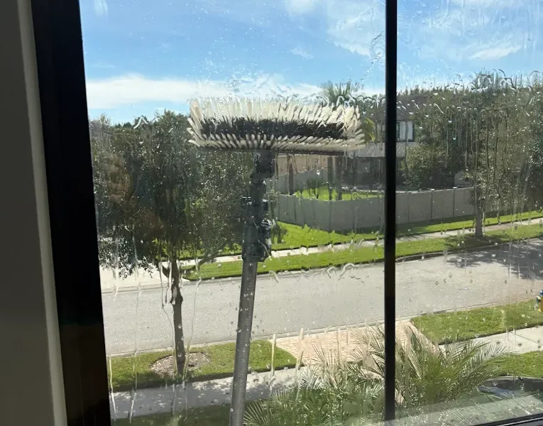 Interior Window Cleaning in Tampa by Pelican Exteriors