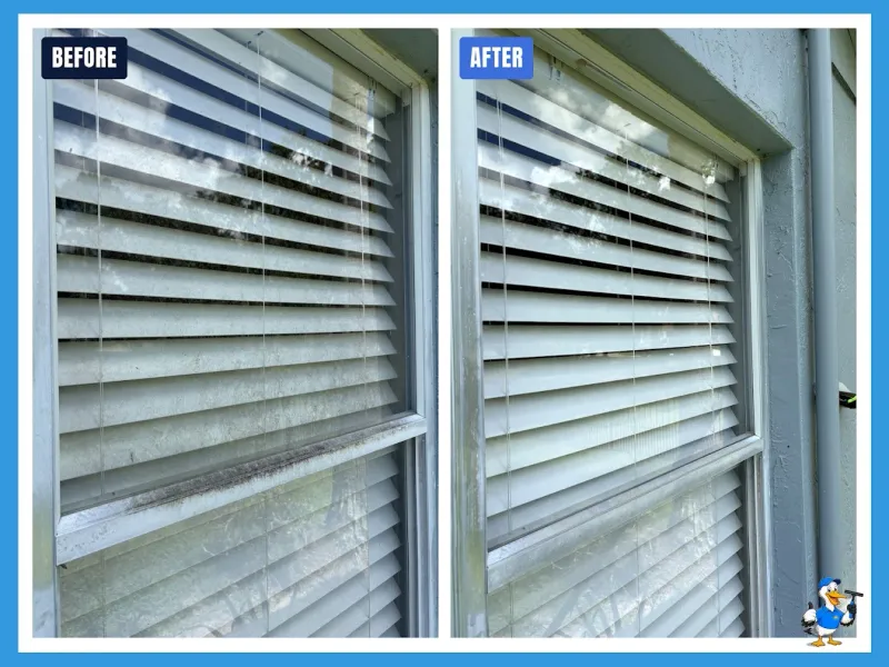Window cleaning by Pelican Exteriors in Brandon, Tampa FL