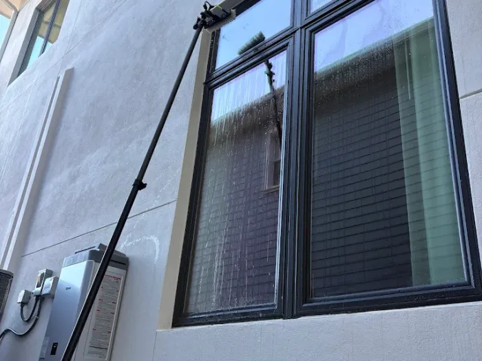Dark-framed window being cleaned with a water-fed pole in Tampa
