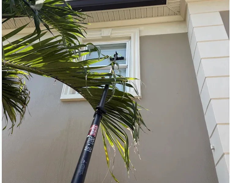 Window cleaning by Pelican Exteriors in Waterchase, Tampa FL