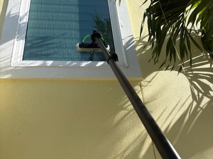 Water-fed pole on a window framed by palms at a Tampa property