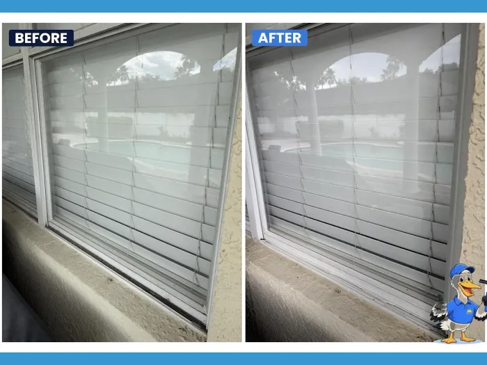 Before and after cleaning a large picture window overlooking a Tampa pool lanai