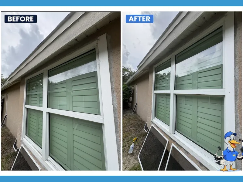 Window cleaning by Pelican Exteriors in Lutz, Tampa FL